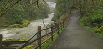 Deschutes River Walking Path Tumwater